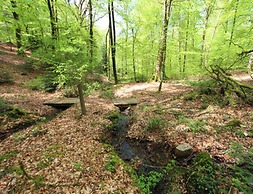 Spacious Cottage, Reipertswiller, Northern Vosges