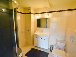 Nice Holiday Home With a Fireplace in Plesna