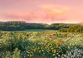 Wonderful Holiday Home in the Countryside