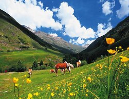 Large Holiday Home With Garden and Balcony in Otztal