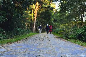 Terraced Houses Near to Sea, Grzybowo