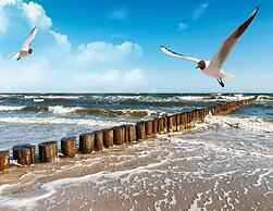 Cottages in a Quiet Neighborhood, Rusinowo