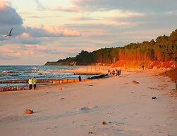 Cottages in a Quiet Neighborhood, Rusinowo