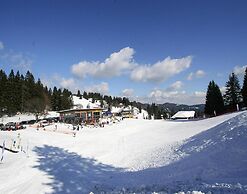 Holiday Resort in Nature