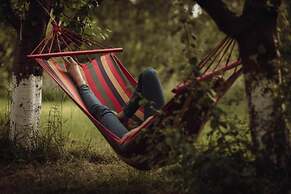 Spacious Apartment in the Countryside, Gronowo