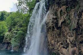 Apartments Adelheid in Biograd, Close to the Beach