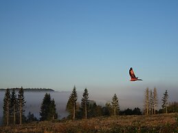 Doppelhaushaelfte in Hasselfelde