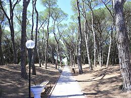 Apartment in Baia Domzia Near the sea