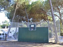 Apartment in Baia Domzia Near the sea