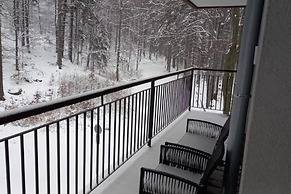 Holiday Apartment, Sauna, Pool, Szklarska Poreba