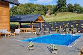 Holiday Home With Swimming Pool for 12 People