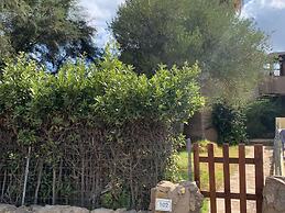 Apartments, Porto Pollo