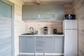 House With Terrace, Pool, Sauna, Whirlpool, Rewal