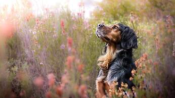 Apartment in Kolobrzeg With Parking Space