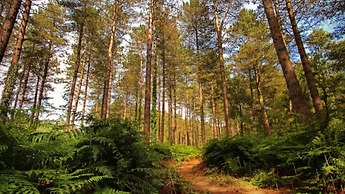 Luxury Caravan on Family Park Near Bournemouth