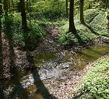 Doppelhaushaelfte in Hasselfelde