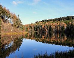 Doppelhaushaelfte in Hasselfelde