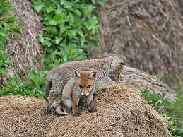Doppelhaushaelfte in Hasselfelde