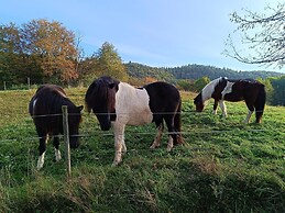 Ferienwohnung mit Bergblick