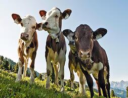 Holiday Flats Barlerhof, Konigsleiten