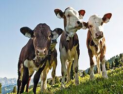 Holiday Flats Barlerhof, Konigsleiten