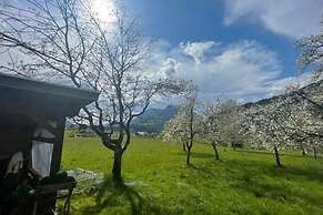 Holiday Home, Soll