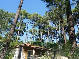Residence Landes, Moliets - Holiday Home With Terrace