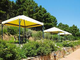 Agriturismo Cima Alla Serra, Pisa