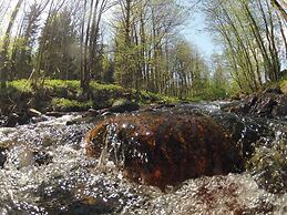 Doppelhaushaelfte in Hasselfelde