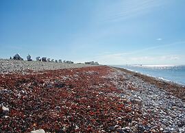 Charmante Hausvilla in Bojendorf