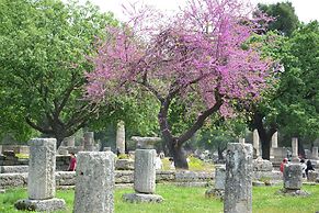 Yiannis Maizonette Ancient Olympia