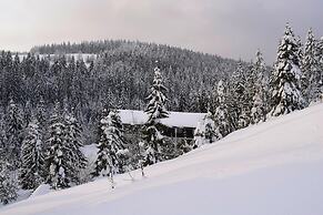 Apartment in Haidmuhle in a Beautiful Area