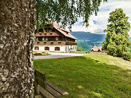 Holiday Home Birkenhof in Afritz/verditz