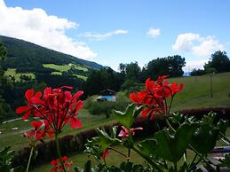 Holiday Home Birkenhof in Afritz/verditz