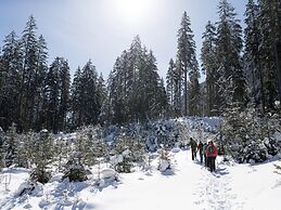 Holiday Flat Sonnau, Bramberg am Wildkogel