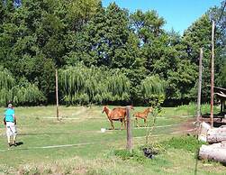 Holiday Flat With Shared Pool in the Countryside, Retournac