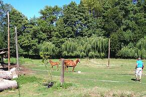 Holiday Flat With Shared Pool in the Countryside, Retournac