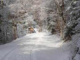 Doppelhaushalfte in Hasselfelde