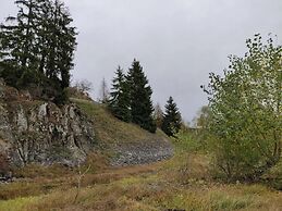 Doppelhaushalfte in Hasselfelde