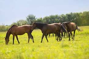Storey Holiday House, Bobolin