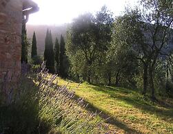 Apartment in Sovicille With Heating