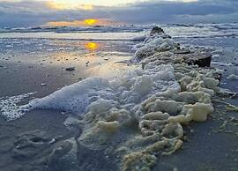 Appartements Post Hiddensee, Vitte