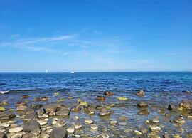 Appartements Post Hiddensee, Vitte