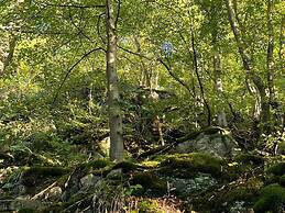 Doppelhaushaelfte in Hasselfelde