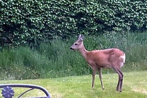 Doppelhaushaelfte, Zingst