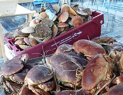 Holiday Home in a Quiet Location Near the Coast