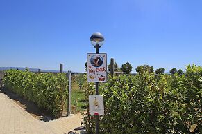 Holiday Residence Rosa dei Venti, Vada