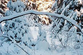 Ferienwohnung, Clausthal-zellerfeld