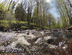 Doppelhaushaelfte in Hasselfelde