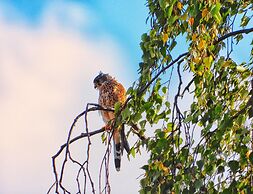Doppelhaushaelfte in Hasselfelde